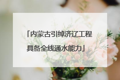 内蒙古引绰济辽工程具备全线通水能力