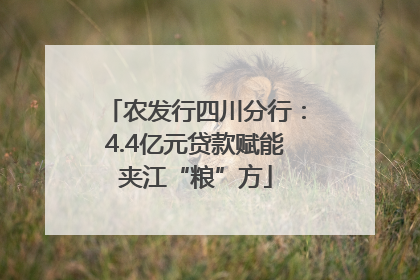 农发行四川分行：4.4亿元贷款赋能夹江“粮”方