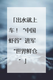 出水就上车！“中国虾谷”进军“世界鲜仓”