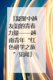 凝聚中越友谊的青春力量——越南青年“红色研学之旅”见闻