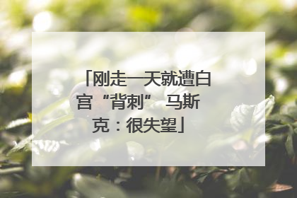 刚走一天就遭白宫“背刺” 马斯克：很失望
