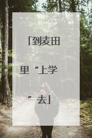 到麦田里“上学”去