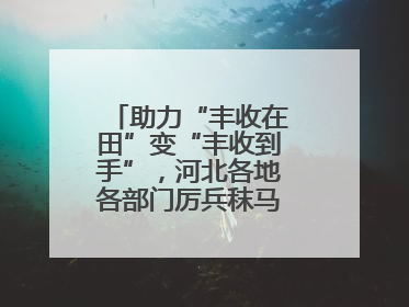 助力“丰收在田”变“丰收到手”，河北各地各部门厉兵秣马迎战“三夏”