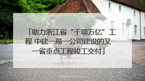 助力浙江省“千项万亿”工程 中建一局一公司建设的又一省重点工程竣工交付