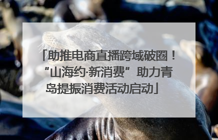 助推电商直播跨域破圈！“山海约·新消费”助力青岛提振消费活动启动