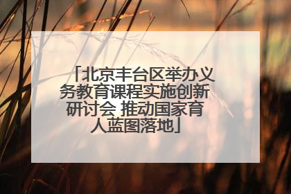 北京丰台区举办义务教育课程实施创新研讨会 推动国家育人蓝图落地