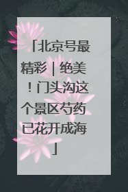 北京号最精彩｜绝美！门头沟这个景区芍药已花开成海