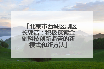 北京市西城区副区长郭洁：积极探索金融科技创新监管的新模式和新方法