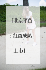 北京平谷：红杏成熟上市