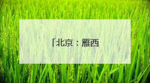 北京：雁西湖上赛龙舟