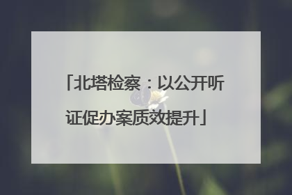 北塔检察：以公开听证促办案质效提升