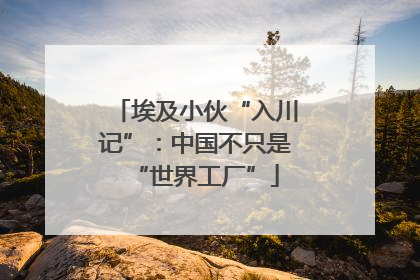埃及小伙“入川记”：中国不只是“世界工厂”