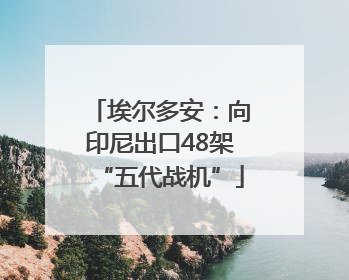 埃尔多安：向印尼出口48架“五代战机”