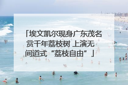 埃文凯尔现身广东茂名 赏千年荔枝树 上演无间道式“荔枝自由”