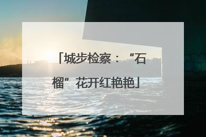城步检察：“石榴”花开红艳艳