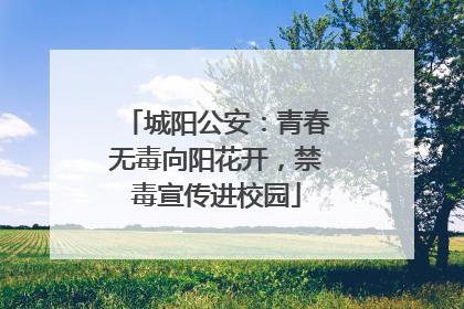 城阳公安：青春无毒向阳花开，禁毒宣传进校园