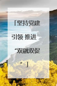 坚持党建引领 推进“双融双促”