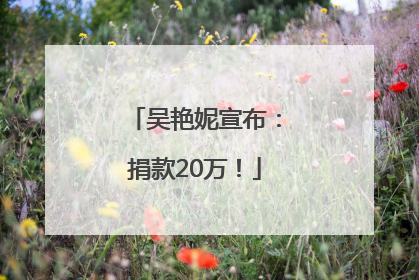 吴艳妮宣布：捐款20万！