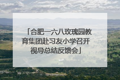 合肥一六八玫瑰园教育集团赴习友小学召开视导总结反馈会
