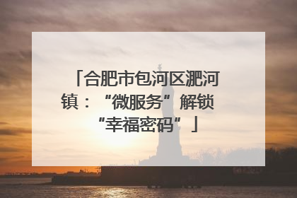合肥市包河区淝河镇：“微服务”解锁“幸福密码”