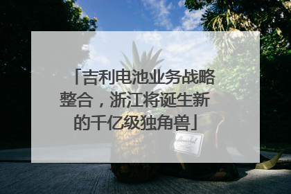 吉利电池业务战略整合，浙江将诞生新的千亿级独角兽