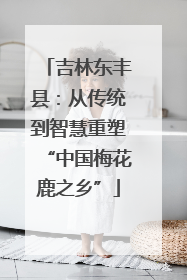 吉林东丰县：从传统到智慧重塑“中国梅花鹿之乡”