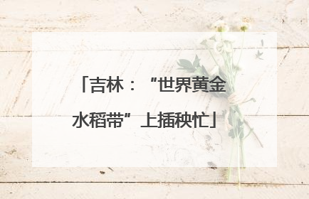 吉林：“世界黄金水稻带”上插秧忙