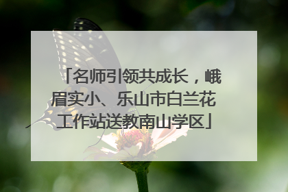 名师引领共成长，峨眉实小、乐山市白兰花工作站送教南山学区