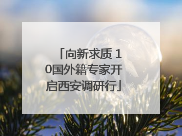 向新求质 10国外籍专家开启西安调研行