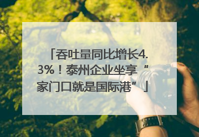 吞吐量同比增长4.3%！泰州企业坐享“家门口就是国际港”