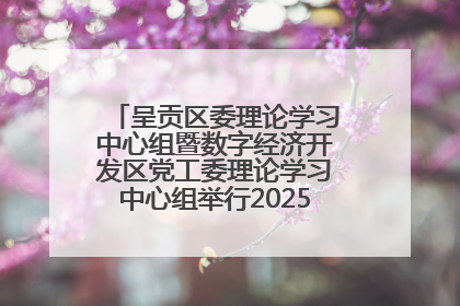 呈贡区委理论学习中心组暨数字经济开发区党工委理论学习中心组举行2025年第七次学习会议