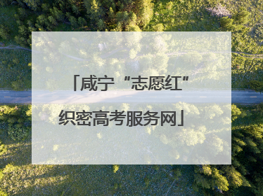 咸宁“志愿红”织密高考服务网