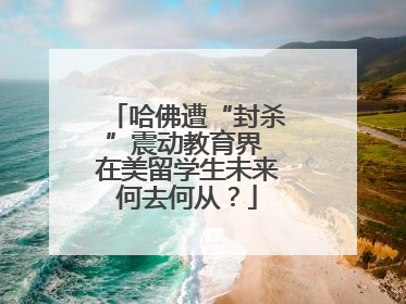 哈佛遭“封杀”震动教育界 在美留学生未来何去何从？