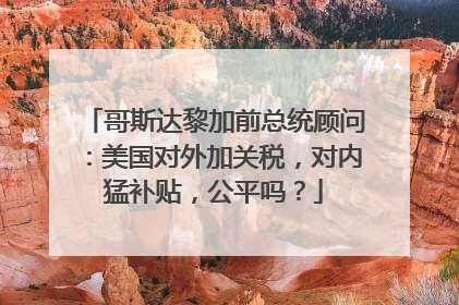 哥斯达黎加前总统顾问：美国对外加关税，对内猛补贴，公平吗？
