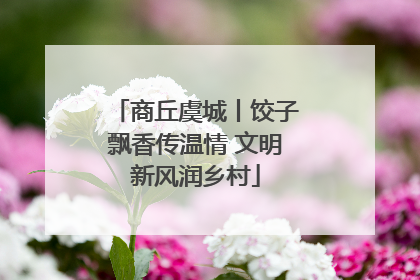 商丘虞城丨饺子飘香传温情 文明新风润乡村
