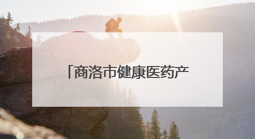 商洛市健康医药产业推介会暨项目签约仪式在商州举行