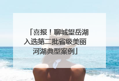 喜报！聊城望岳湖入选第二批省级美丽河湖典型案例