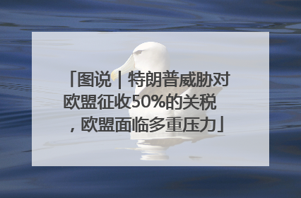 图说｜特朗普威胁对欧盟征收50%的关税，欧盟面临多重压力