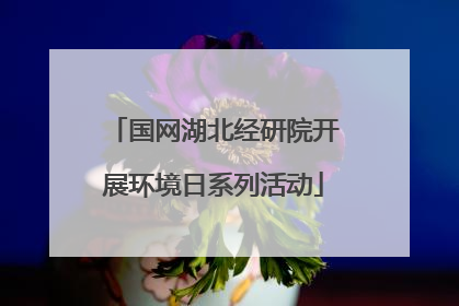 国网湖北经研院开展环境日系列活动