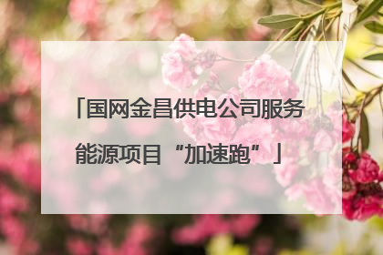 国网金昌供电公司服务能源项目“加速跑”