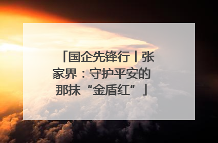 国企先锋行丨张家界：守护平安的那抹“金盾红”