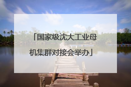国家级沈大工业母机集群对接会举办