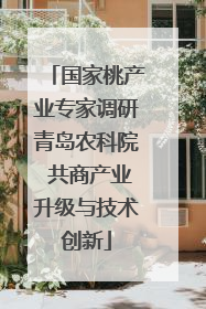 国家桃产业专家调研青岛农科院 共商产业升级与技术创新