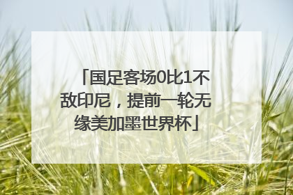 国足客场0比1不敌印尼，提前一轮无缘美加墨世界杯