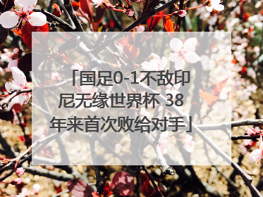 国足0-1不敌印尼无缘世界杯 38年来首次败给对手