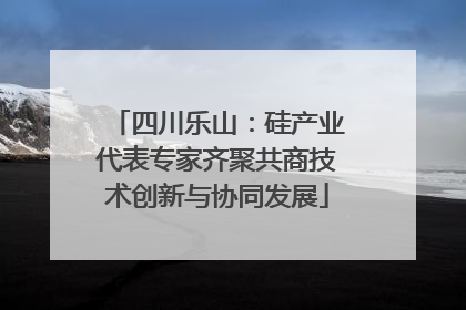 四川乐山：硅产业代表专家齐聚共商技术创新与协同发展
