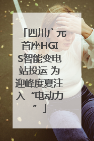 四川广元首座HGIS智能变电站投运 为迎峰度夏注入“电动力”
