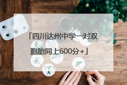 四川达州中学一对双胞胎同上600分+