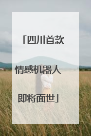 四川首款情感机器人即将面世
