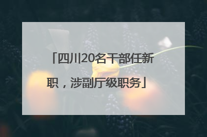四川20名干部任新职，涉副厅级职务